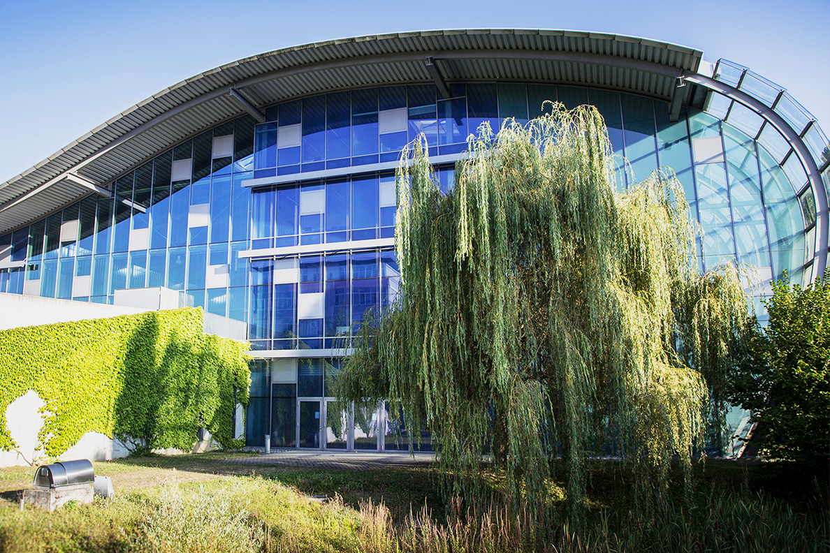 Bâtiment neuf avec grand saule pleureur devant