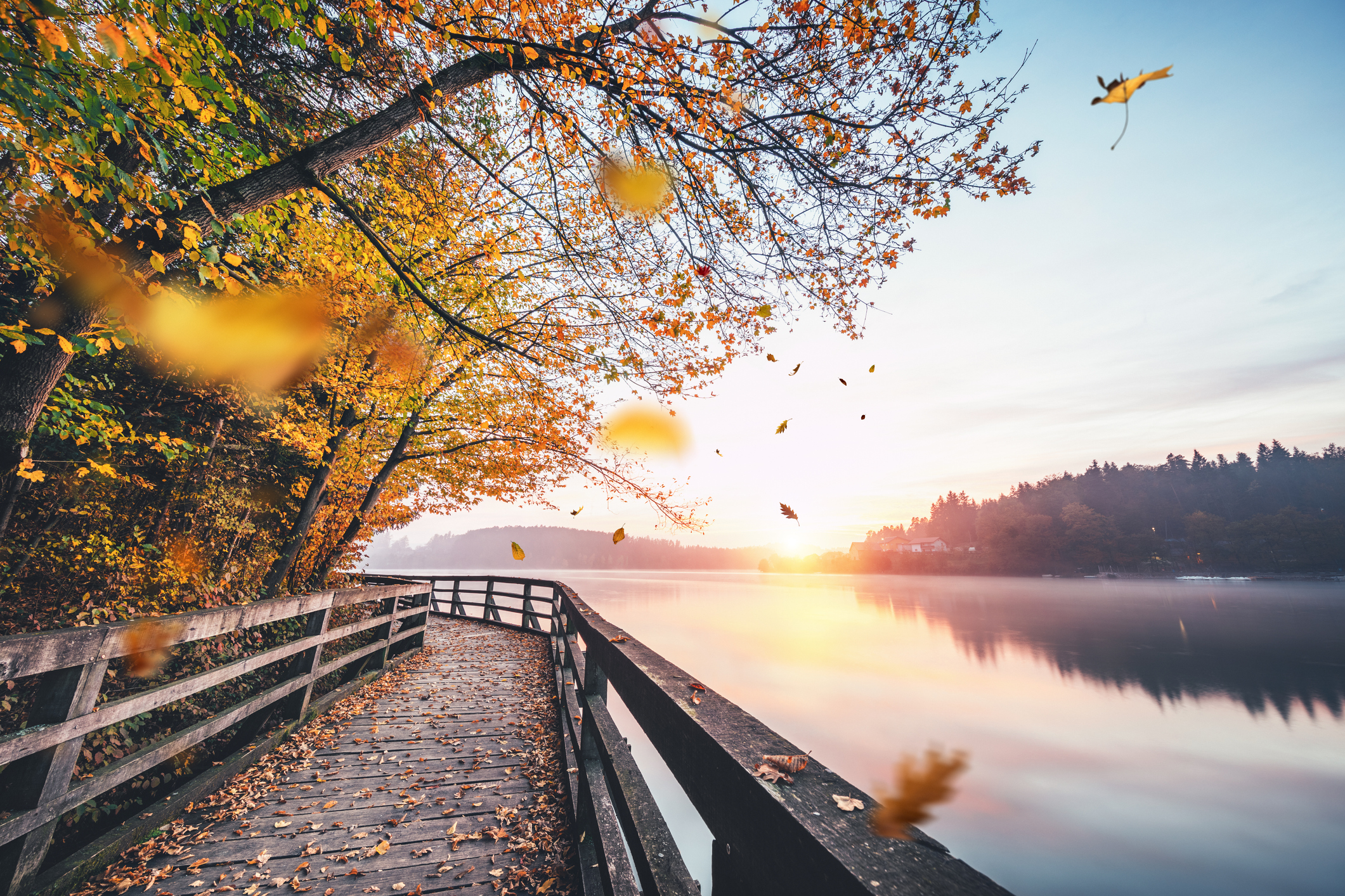 Scène d'automne idyllique avec un chemin en bois au bord du lac